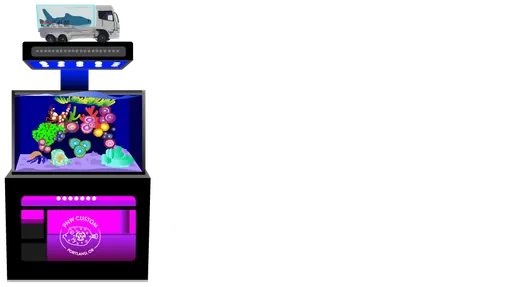 Roaming Reef